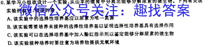 江西省2023届九年级江西中考总复习模拟卷（二）生物