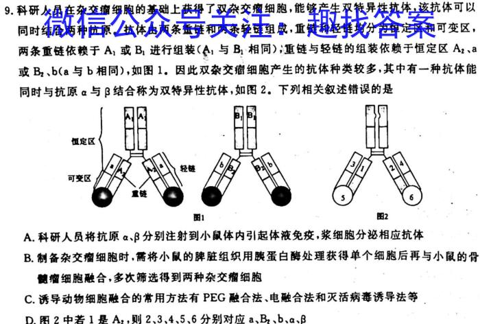 衡中同卷2022-2023学年度下学期高三年级二调考试(全国卷)生物试卷答案