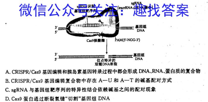 NT2023届普通高等学校招生全国统一考试模拟试卷(一)(全国卷)生物试卷答案