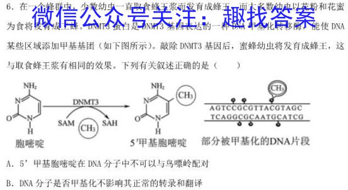 炎德英才大联考 湖南师大附中2023届高三月考试卷(七)7生物