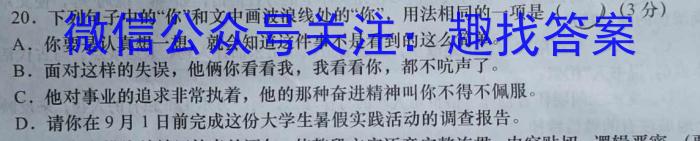 天利38套河北省2023年初中毕业生升学文化课考试押题卷(五)语文