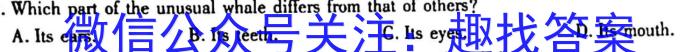 安徽省六安市2025届七年级第一学期期末质量监测英语