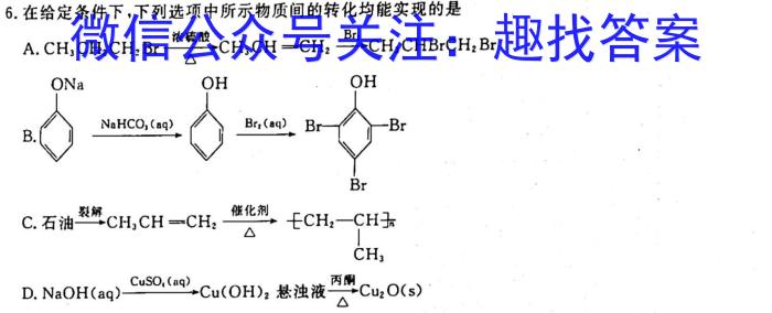 学普试卷·2023届高三第十一次(模拟版)化学