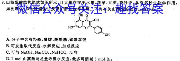 吉林省长春市九台区2023届九年级学业质量调研检测化学