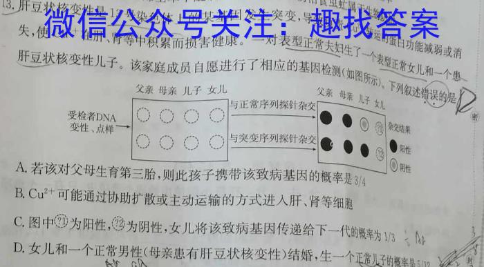 2023年全国高考名校名师联席命制押题卷（四）生物试卷答案
