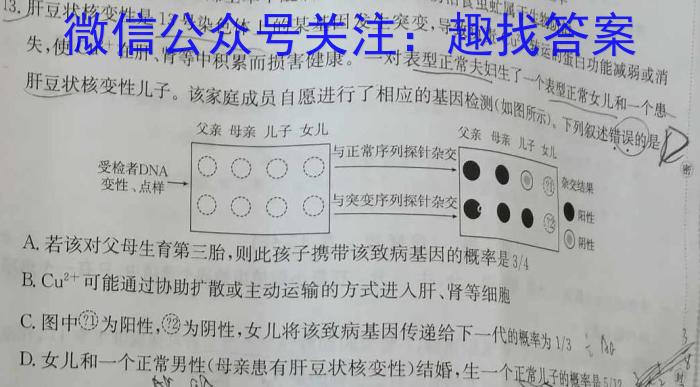 2023年全国高考名校名师联席命制押题卷（四）生物试卷答案