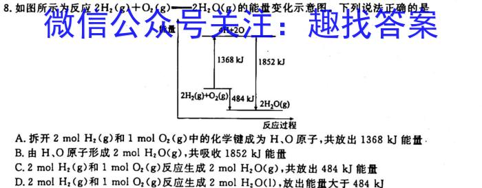 2023年万友中考模拟卷（一）化学