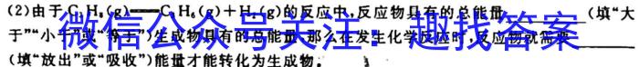 2023衡水金卷先享题信息卷新高考新教材(二)化学