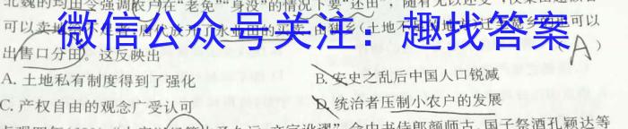 2023届河南省高三高考仿真适应性测试历史