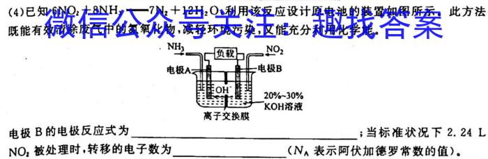 2023届九师联盟高三年级3月联考（新教材老高考）化学