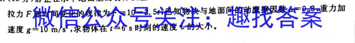 ［卓育云］2022-2023中考学科素养自主测评卷（六）物理`