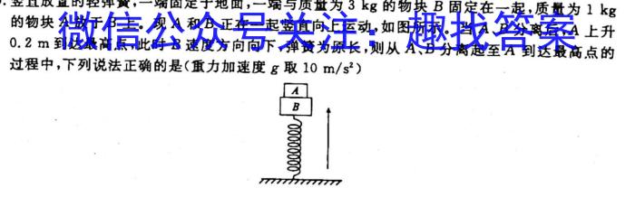 2023届名校之约·中考导向总复习模拟样卷 二轮(八)物理`