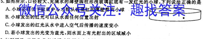 2023年广东省大湾区高三年级4月联考物理`