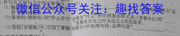 江苏省苏州市2023届九年级第二学期适应性练习语文