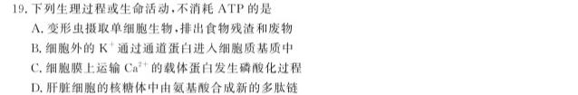 2023年全国高考·冲刺预测卷(六)生物