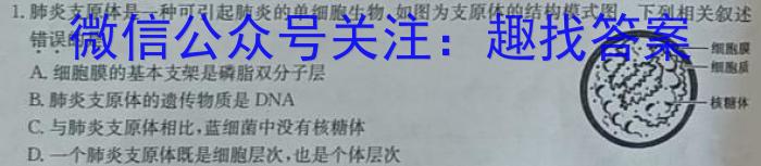2023届高三3月模拟(二)2生物试卷答案