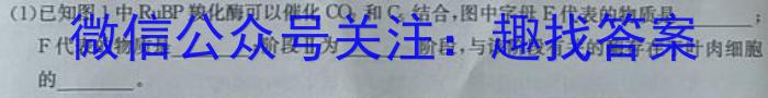 江西省青山湖区2023年3月九年级质量调研试卷生物