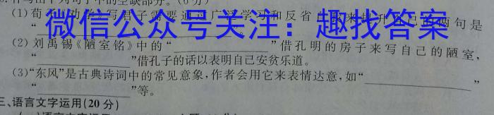 江西省2023届九年级第六次阶段适应性评估PGZXAJX语文