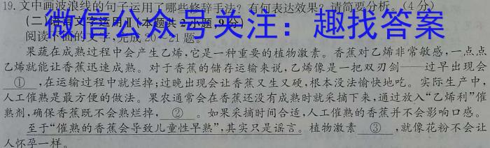 安徽省2023届九年级下学期教学质量监测（六）语文