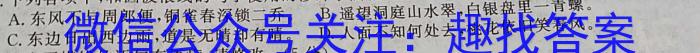 华普教育 2023全国名校高考模拟冲刺卷(一)语文