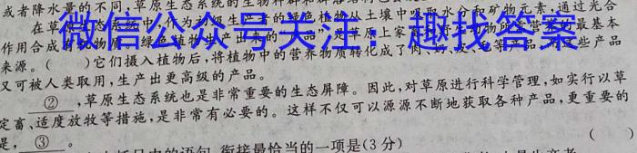 安徽省鼎尖教育2024届高二年级3月联考语文