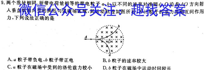 湖北省鄂东南省级示范教学改革联盟学校2022-2023学年高二下学期期中联考f物理