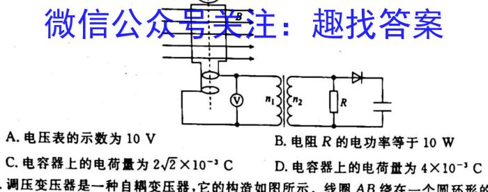 山西省晋城市2024届高二4月期中考试l物理