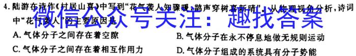 江西省2023届九年级江西中考总复习模拟卷（四）.物理