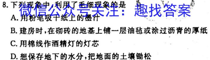 2023年商洛市第二次高考模拟检测试卷(23-390C)物理`