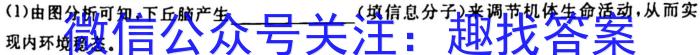 1号卷2023年全国高考最新原创冲刺试卷(四)生物试卷答案