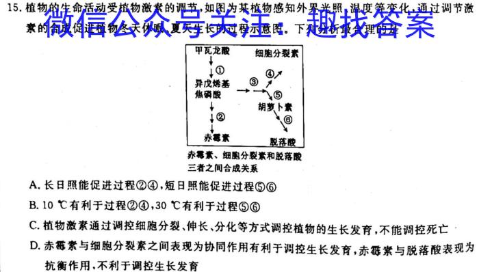 洛平许济高三三检生物