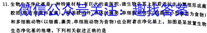 2023届高考北京专家信息卷·仿真模拟卷(四)4生物