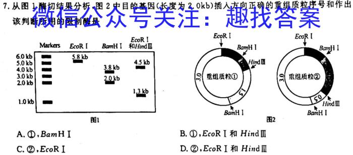 山西省2023年初中毕业班综合测试生物