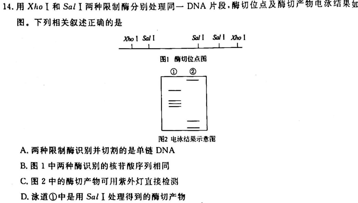 学林教育2023年陕西省初中学业水平考试·全真模拟卷(四)生物