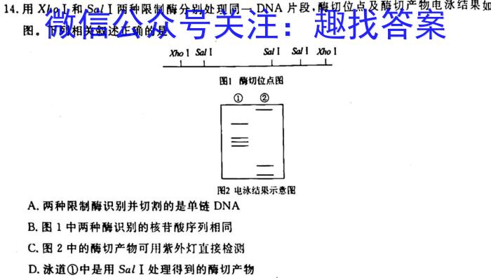 2023届新高考押题04生物试卷答案