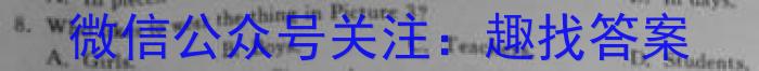 2023年普通高等学校招生伯乐马模拟考试(三)3英语试题