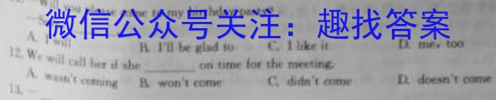 【全部更新】河南省新乡市封丘县2023届九年级上学期期终性评价测试卷（23-CZ103c）英语