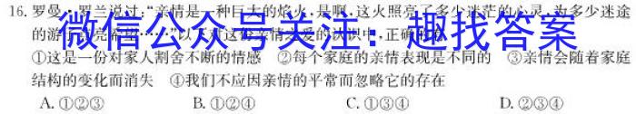 陕西省九年级联盟卷(23-CZ118c)政治~