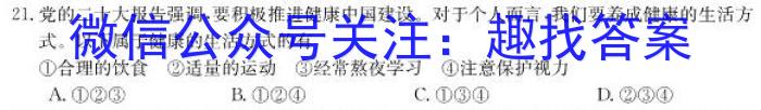 2023年陕西省初中学业水平考试·全真模拟（四）A卷地理.