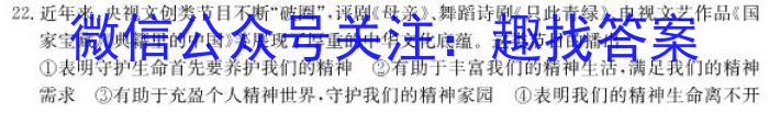 中考仿真卷2023年山西省初中学业水平考试(五)地理.