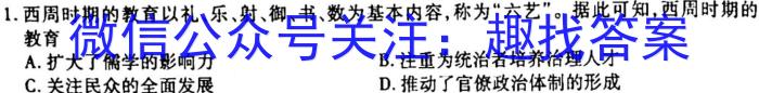 2023年河南省普通高中招生考试模拟试卷（二）历史