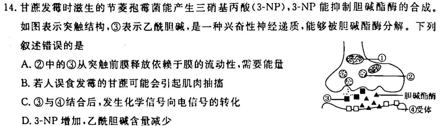 智慧上进2022-2023学年高三年级二轮复习阶段性检测生物