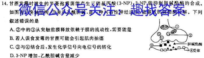 2022~2023高三年级第二次模拟考试(3月)生物试卷答案