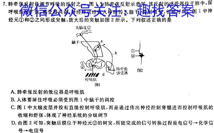 2023年全国高三考试3月百万联考(4003C)生物