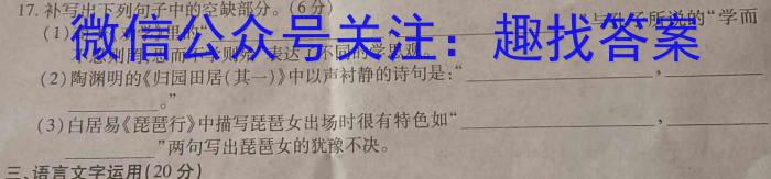 安师联盟2023年中考权威预测模拟考试（七）语文