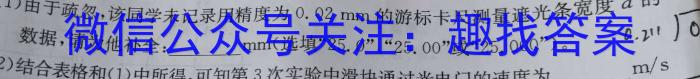 2023年河北省新高考模拟卷（二）.物理