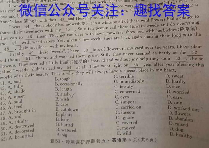 钦州市2024年高二秋季学期教学质量监测英语