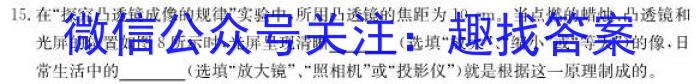 楚雄州中小学2023年高一下学期期中教育学业质量监测（23-375A）q物理