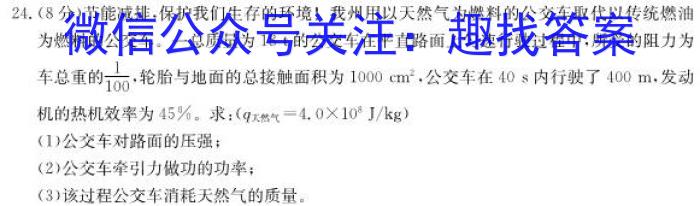 山西省实验中学2022-2023学年第二学期期中质量监测（卷）物理`