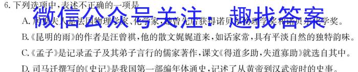 安徽省2024-2023学年度九年级阶段诊断【R- PGZX F- AH（六）】语文